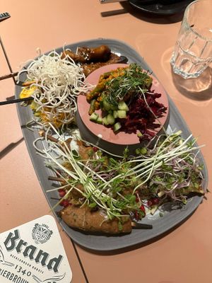  at STAN & CO in The Hague