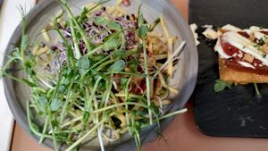 Knolselderij steak met muhamara en zhug at STAN & CO in The Hague