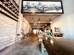 Inside   at Elevation Coffee in Tampa