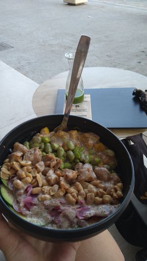  at Natur Poke - Puerto Pollença in Mallorca