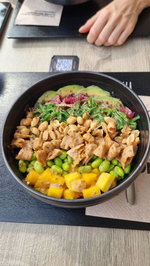  at Natur Poke - Puerto Pollença in Mallorca