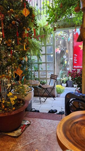  at TuLi KuSu in Ho Chi Minh City