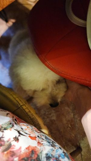  at TuLi KuSu in Ho Chi Minh City