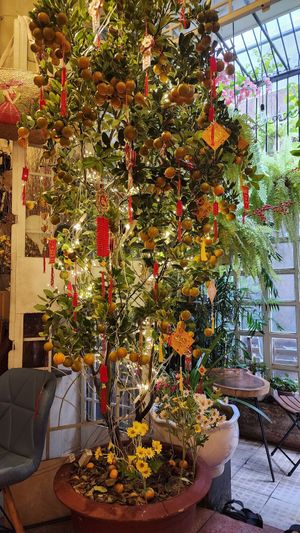  at TuLi KuSu in Ho Chi Minh City