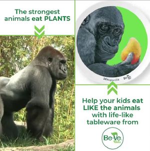  at Be-Ve Kids in Hickory