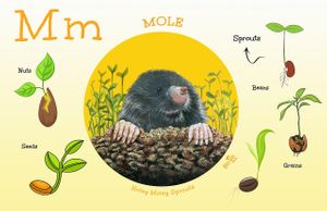 Plant-Based Pals Animal Placemats at Be-Ve Kids in Hickory