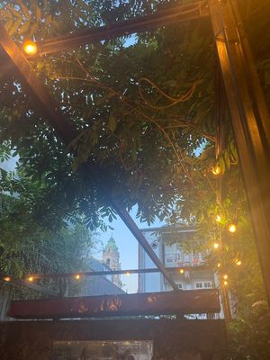  at Espécie in Porto