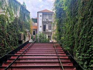 Patio at the back for warm days. Covered today because of the rain. at Espécie in Porto