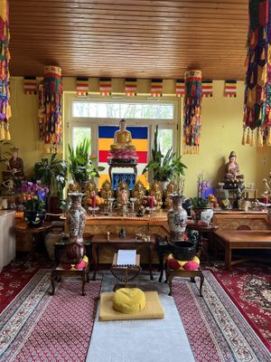   at Vegan Gesund in Hannover