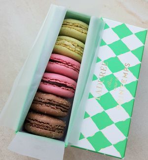 assortment of 6 macarons (vegan: Hazelnut flavor, brown) #Veganuary at CDG - Ladurée - T2F in Roissy-en-france