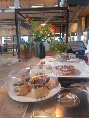  at Lumberjack Bio-Bergrestaurant in Kleinarl