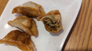 Vegan Gyoza at Keep It Rollin in Rochester