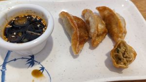 Vegan Gyoza at Keep It Rollin in Rochester