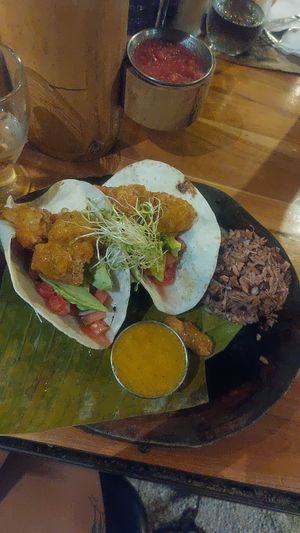 Crispy cauliflower tacos with Caribbean style rice and bean at Coco Loco in Playa Flamingo