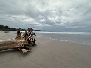  View from the restaurant  at Coco Loco in Playa Flamingo
