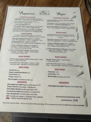 They also provide non-vegan/vegetarian menu  at Coco Loco in Playa Flamingo