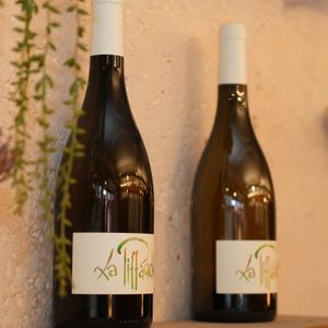   at Adam et Eve Cafe - Restaurant Végétarien in Paris