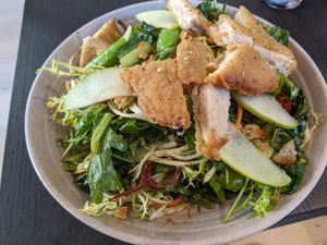 The Reset salad with added vegan chicken at Rad Radish in San Francisco