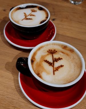 Chagaccino made of mushrooms (caffeine free) at Rad Radish in San Francisco