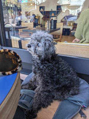  at Rad Radish in San Francisco