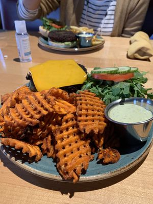 Black bean burger with plant based cheese, sweet potato fries and vegan ranch   at Sunspot in Knoxville