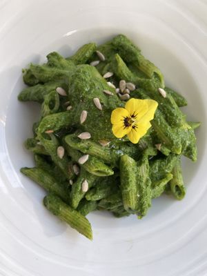 Penne al pesto di spinaci   at La Rotonda in Tirano