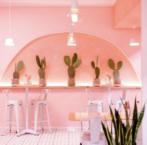 Restaurant Decor   at Hail Mary in Burleigh Heads