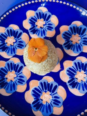  #Veganuary at Don't Tell Aunty in Surry Hills