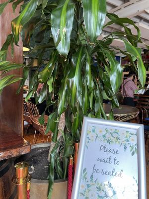   at Don't Tell Aunty in Surry Hills