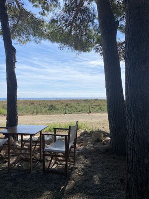   at Rosarito Cafe in L Hospitalet De L Infant