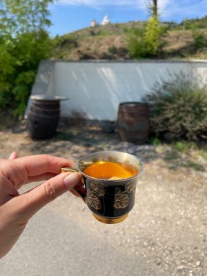  at Vinice Coffee Bar in Mikulov