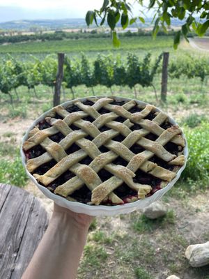  at Vinice Coffee Bar in Mikulov