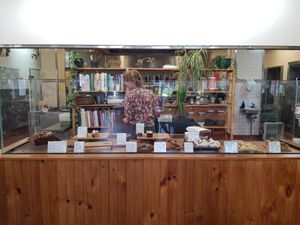 Treat counter at Momo Wholefood in Newcastle