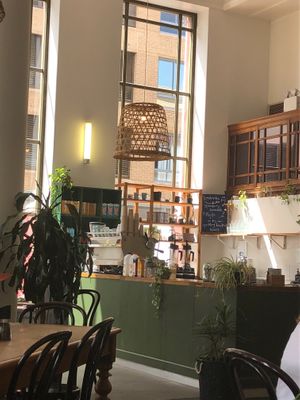 The beautiful counter and interior of the store at Momo Wholefood in Newcastle