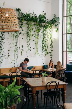 Interior   at Momo Wholefood in Newcastle