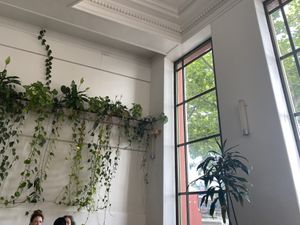   at Momo Wholefood in Newcastle