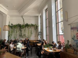 Inside  at Momo Wholefood in Newcastle