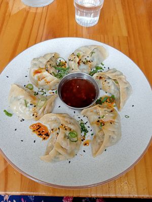 Tibetan momos at Momo Wholefood in Newcastle