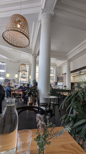  at Momo Wholefood in Newcastle