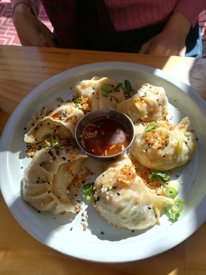 "Momos" dumplings sooo good! at Momo Wholefood in Newcastle