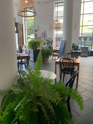 Towards front of building at Momo Wholefood in Newcastle