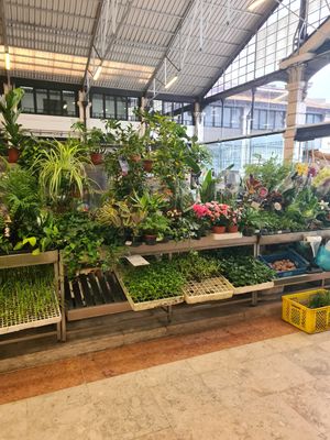 Time Out Market at Time Out Market in Lisbon