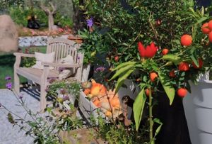 GARDEN CORNER at Casa Autunno in Monzambano