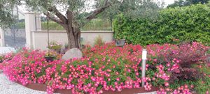 GARDEN at Casa Autunno in Monzambano