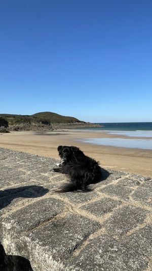   at Petite Nature in Saint-lunaire