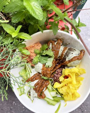 Falafel bowl  at 2022_place - Pop Up in Yerevan