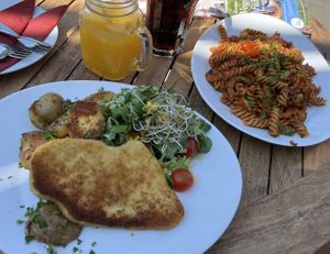 Schnitzel vom Feld und Sonnenblumenkernbolognese  at Zingster Scheune in Zingst