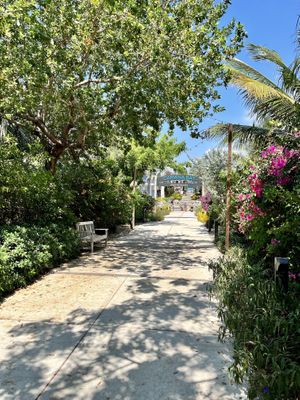 Camana Bay  at The Edgy Vedge in George Town