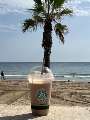   at PLANT SHACK - Calpe in Calpe