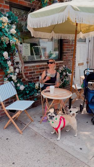   at Garden Carver in Brooklyn